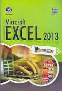 Microsoft Excel 2013