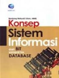 Konsep Sistem Infomasi Dari BIT Sampai Ke DATABASE